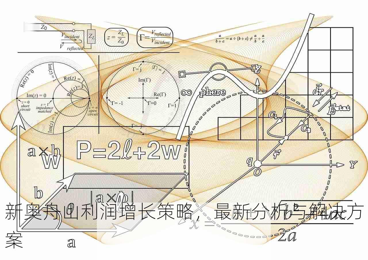 新奥舟山利润增长策略，最新分析与解决方案