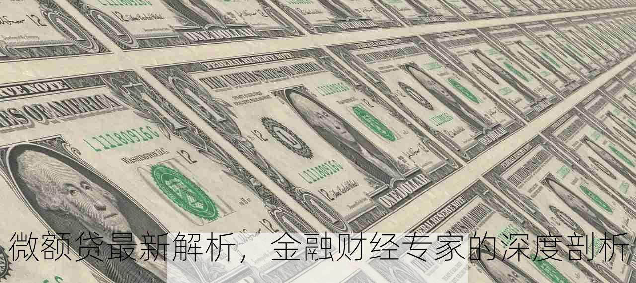 微额贷最新解析，金融财经专家的深度剖析