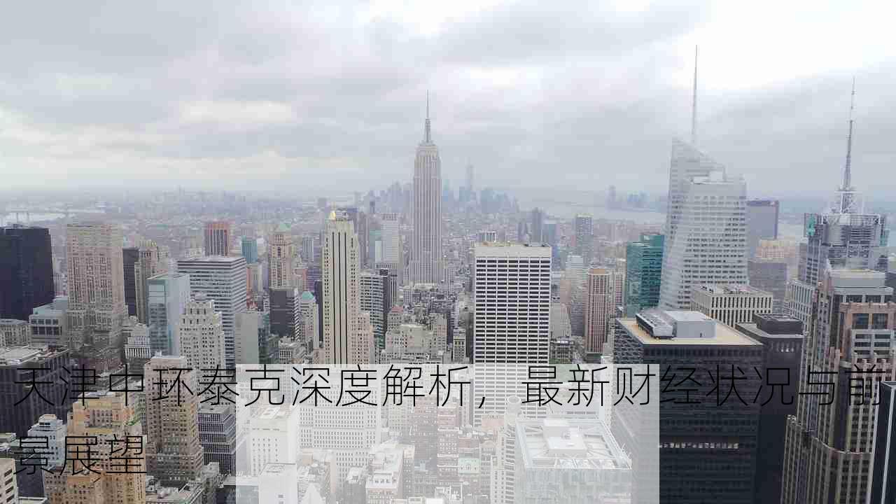 天津中环泰克深度解析，最新财经状况与前景展望