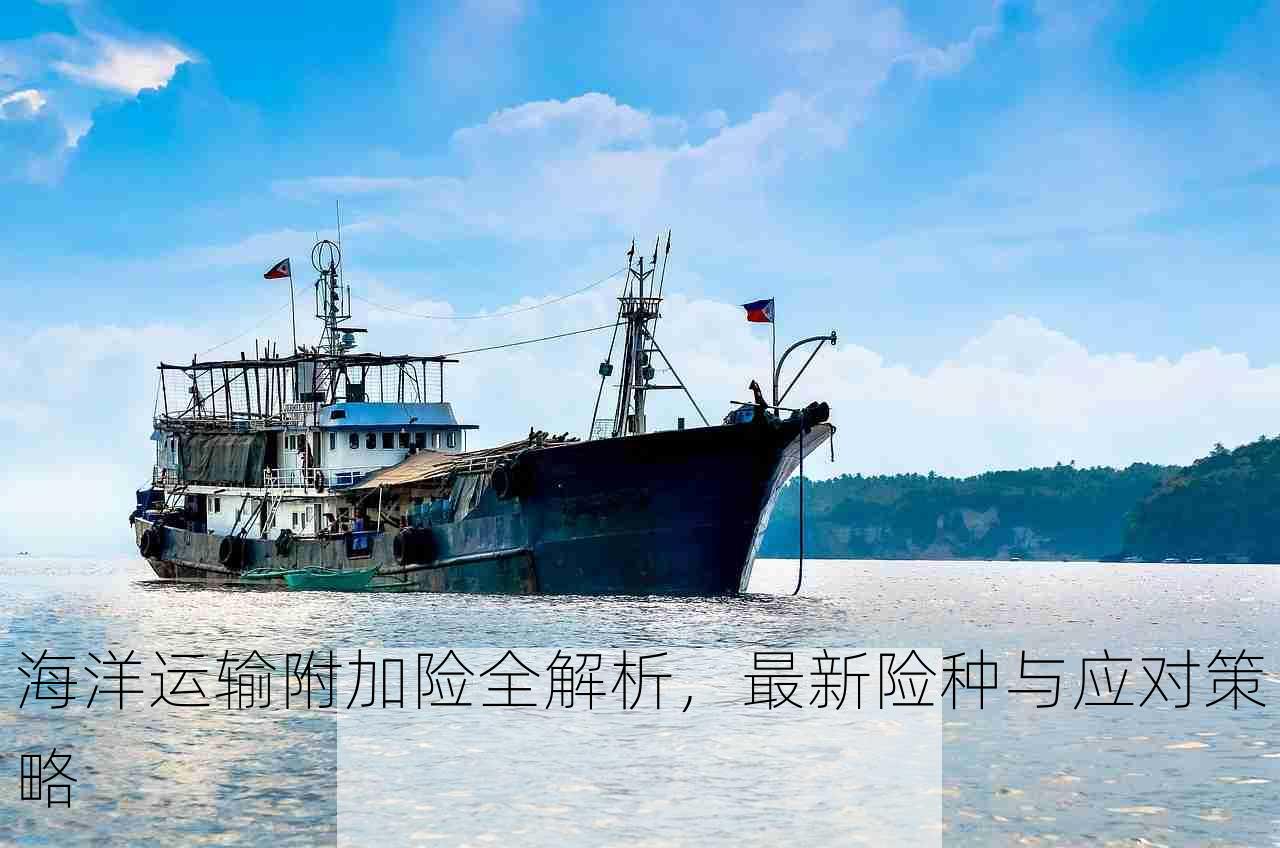 海洋运输附加险全解析，最新险种与应对策略