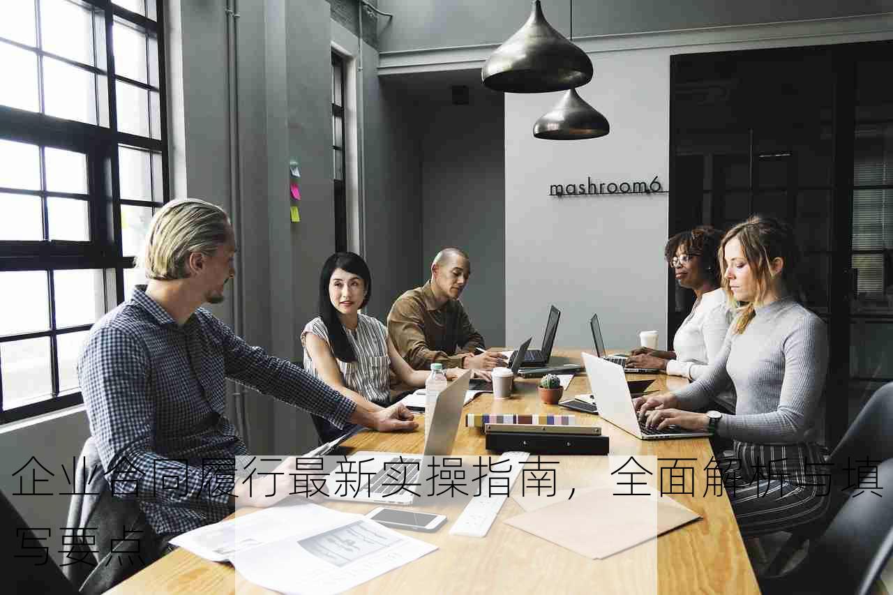 企业合同履行最新实操指南，全面解析与填写要点