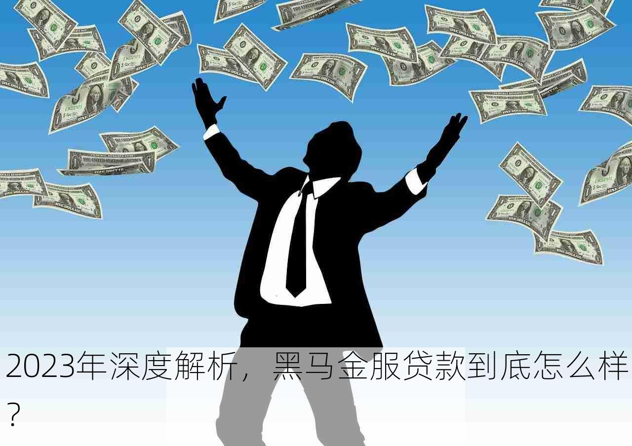 2023年深度解析，黑马金服贷款到底怎么样？