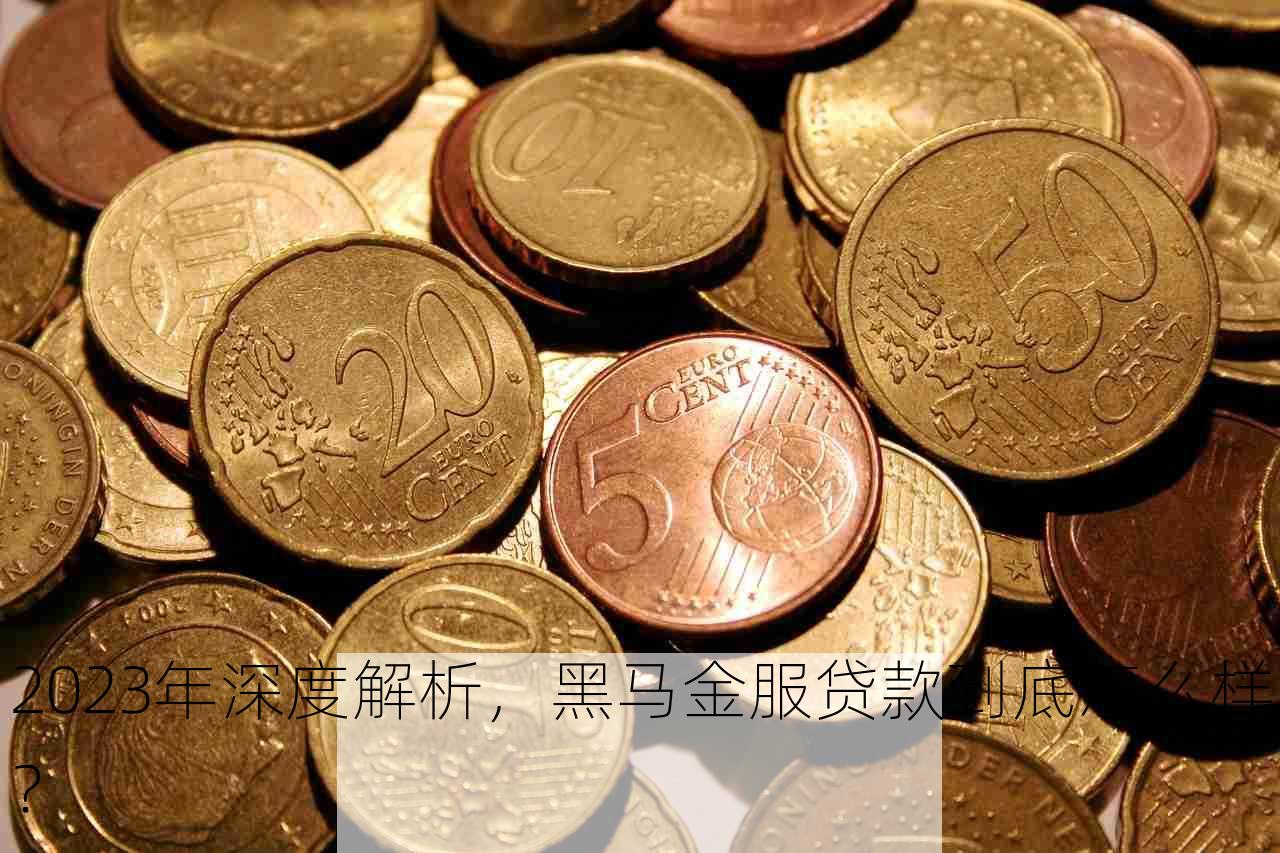 2023年深度解析，黑马金服贷款到底怎么样？