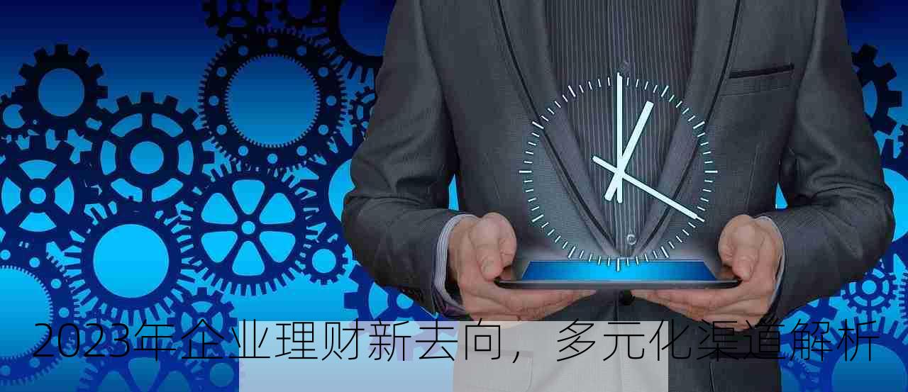 2023年企业理财新去向，多元化渠道解析