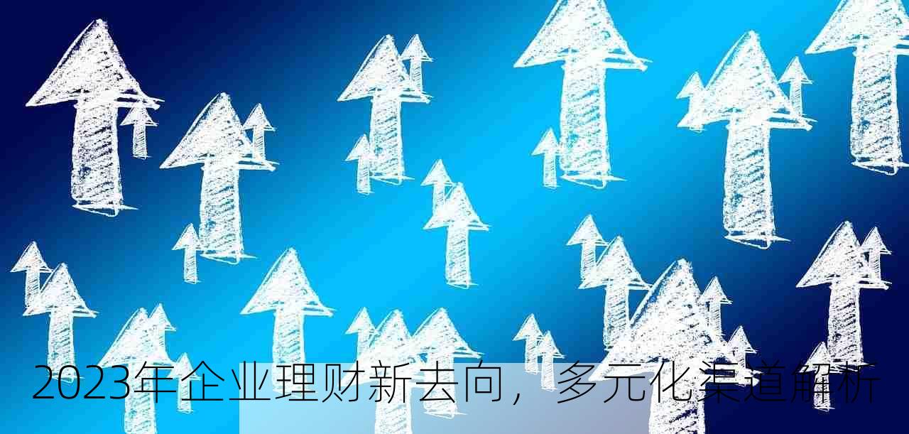 2023年企业理财新去向，多元化渠道解析