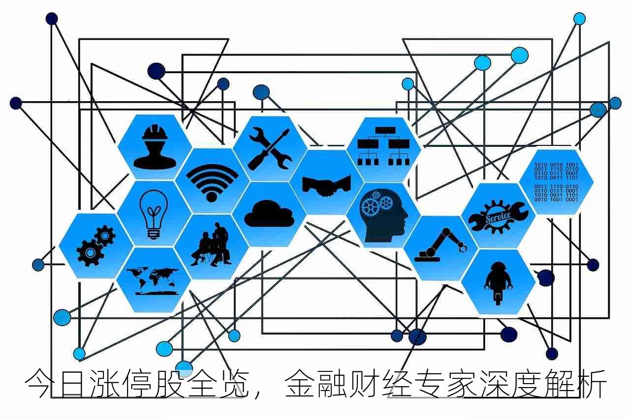 今日涨停股全览，金融财经专家深度解析