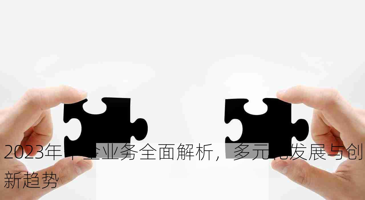 2023年个金业务全面解析，多元化发展与创新趋势