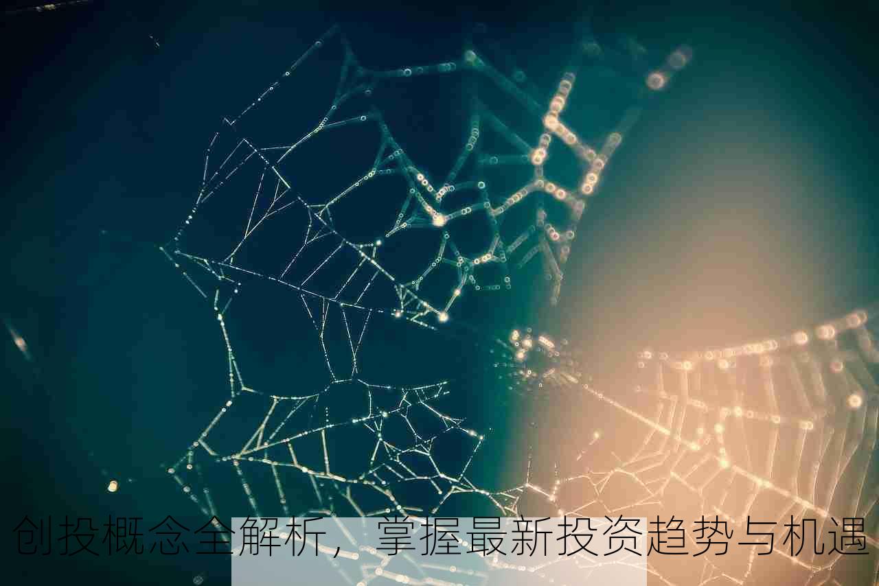 创投概念全解析，掌握最新投资趋势与机遇