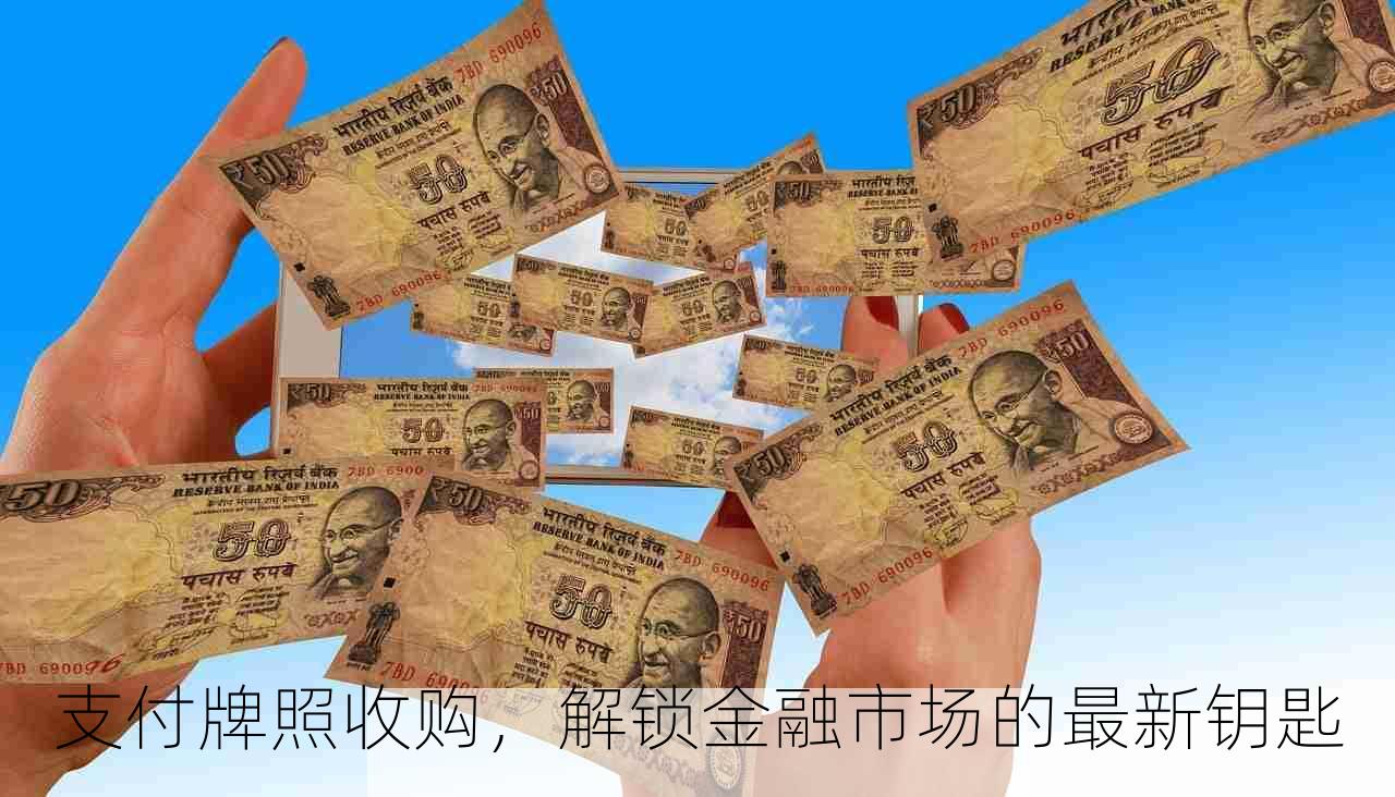 支付牌照收购，解锁金融市场的最新钥匙