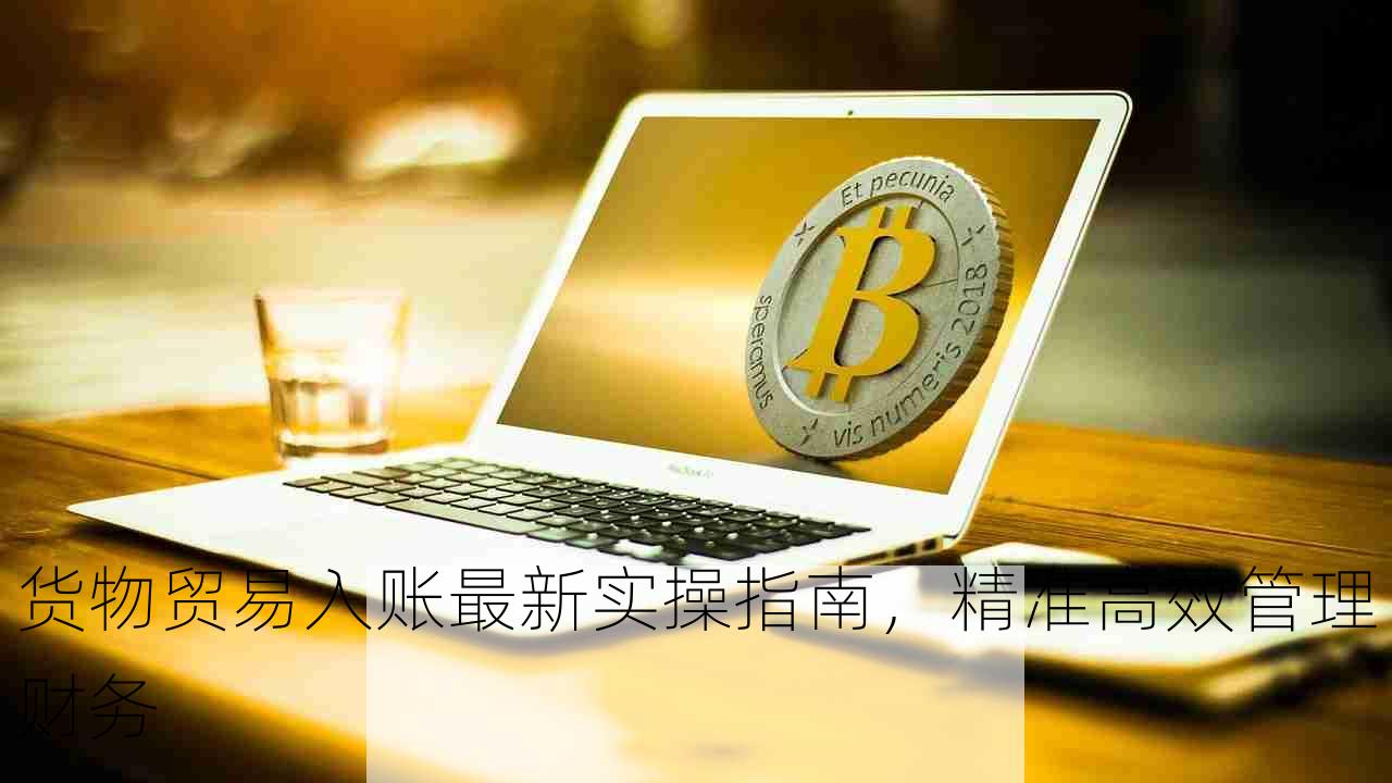 货物贸易入账最新实操指南，精准高效管理财务