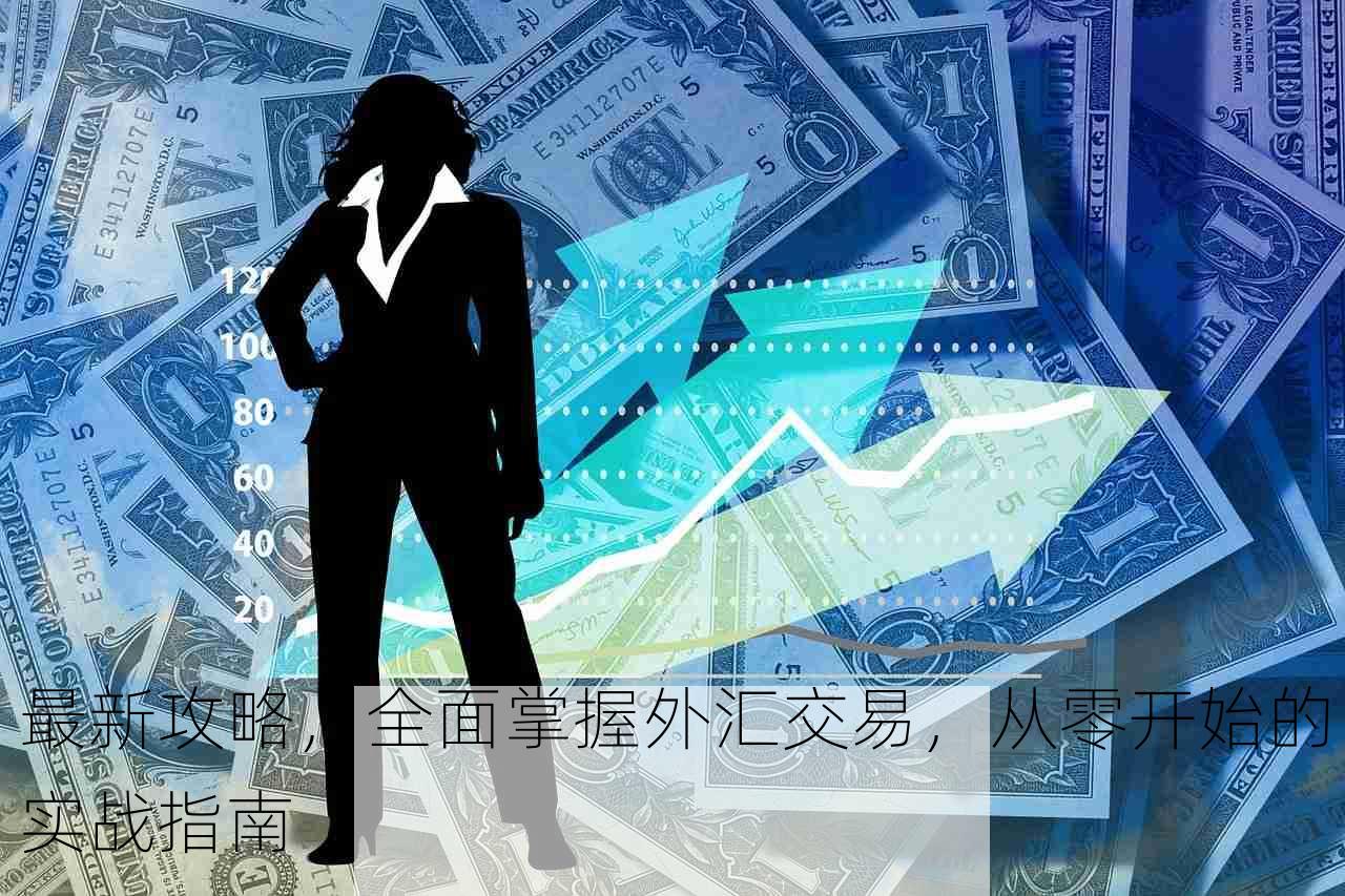 最新攻略，全面掌握外汇交易，从零开始的实战指南