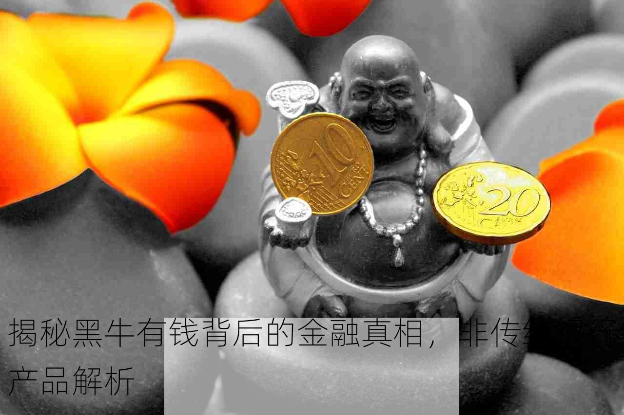 揭秘黑牛有钱背后的金融真相，非传统银行产品解析