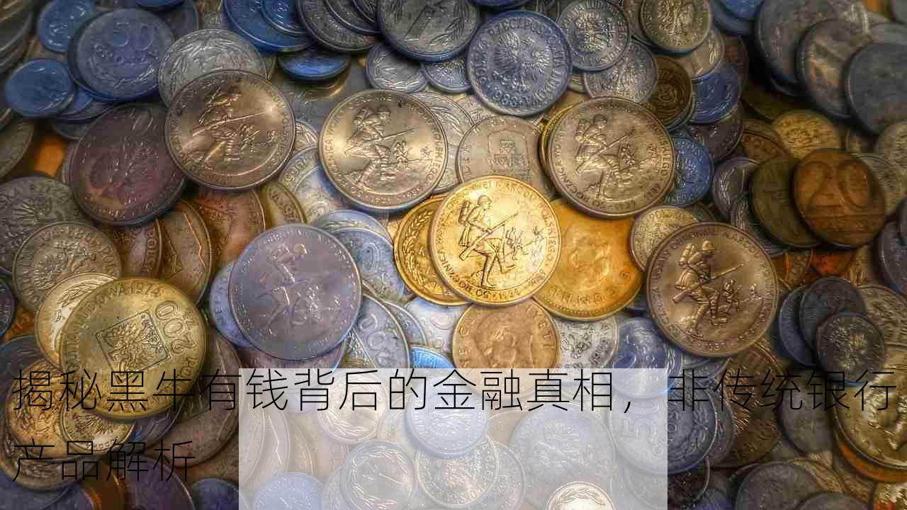 揭秘黑牛有钱背后的金融真相，非传统银行产品解析