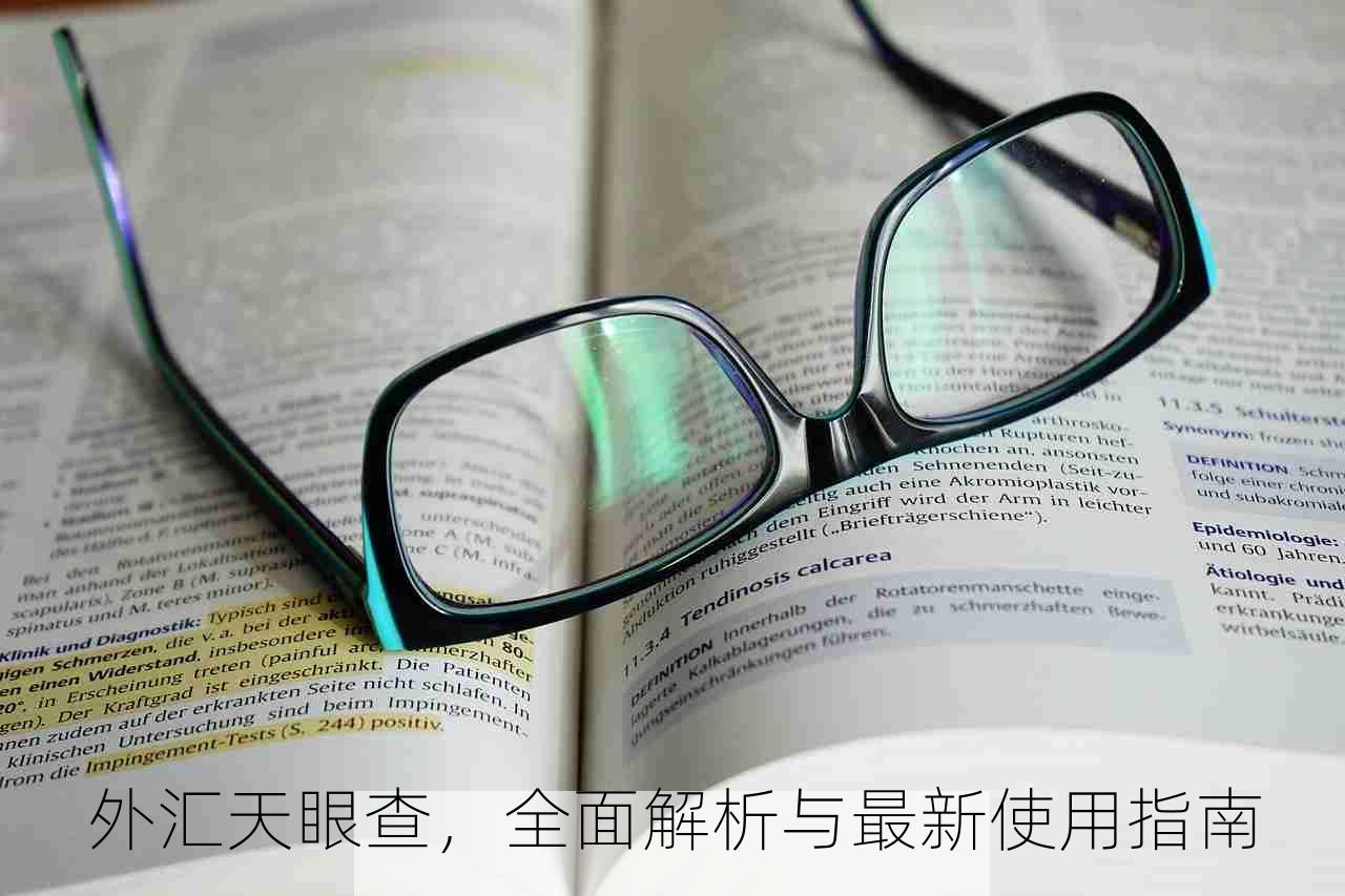 外汇天眼查，全面解析与最新使用指南