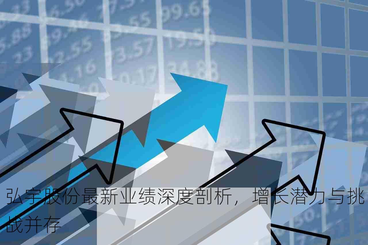 弘宇股份最新业绩深度剖析，增长潜力与挑战并存